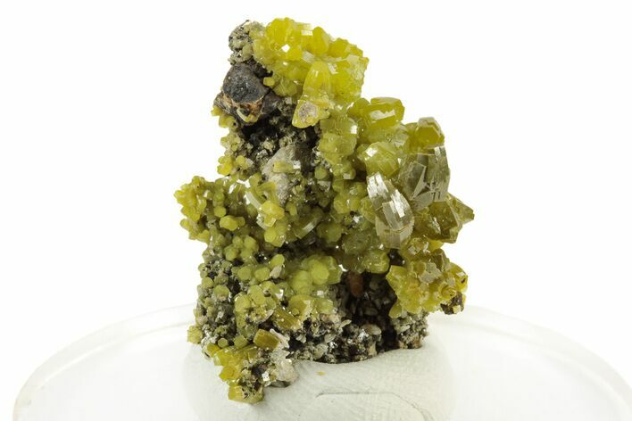 Lustrous Apple-Green Pyromorphite Crystal Cluster - China #242846